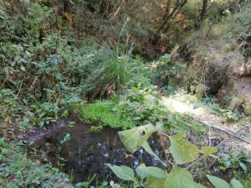 Terreno en venta de 40,000 m2, Carboneras Mineral del Chico, Hidalgo