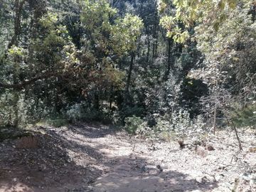 Terreno en venta de 40,000 m2, Carboneras Mineral del Chico, Hidalgo