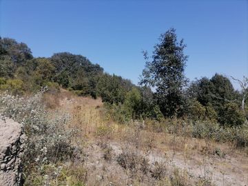 Terreno en venta de 40,000 m2, Carboneras Mineral del Chico, Hidalgo