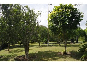 SE VENDE LOTE  VA EL VALLE SECTOR LA HERRADURA