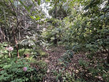Casa en Venta en Yungay