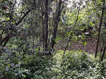 Casa en Venta en Yungay