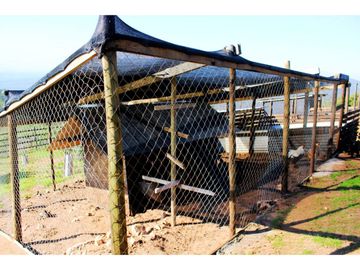 Casa en Venta en Fuerte Aguayo, Concón – Naturaleza y Confort a Solo 20 Minutos de la Ciudad