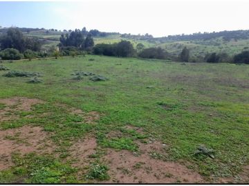 Venta de Espectacular Terreno con Vistas Panorámicas al Mauco - ¡Precio Rebajado!