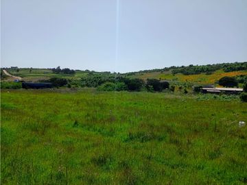 Venta de Espectacular Terreno con Vistas Panorámicas al Mauco - ¡Precio Rebajado!