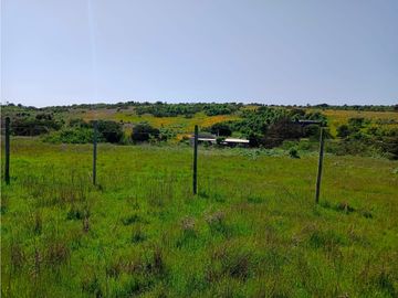 Venta de Espectacular Terreno con Vistas Panorámicas al Mauco - ¡Precio Rebajado!