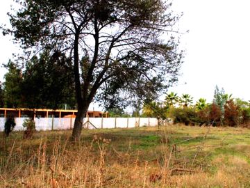 ¡Construye tu Hogar en Medio de la Naturaleza en Las Gaviotas!