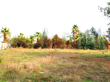 ¡Construye tu Hogar en Medio de la Naturaleza en Las Gaviotas!