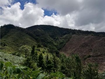 Lote en Venta en Sonsón