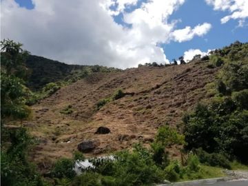 Lote en Venta en Sonsón