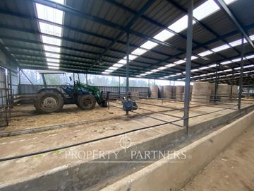 Paillaco, ganadero, muy buenas construcciones y sistema de riego