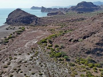 Beachfront lot 46 San Cosme Loreto