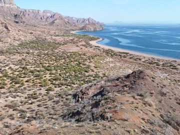 Beachfront lot 46 San Cosme Loreto