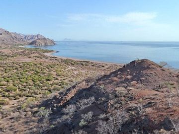 Beachfront lot 46 San Cosme Loreto