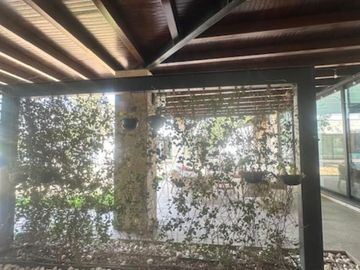 HERMOSA CASA EN UNA PLANTA 1150 METROS PLANOS (SS HCV-029-56435)