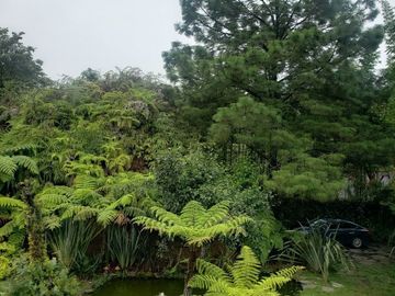Rancho entre nubes y montañas en Cuetzalan Puebla