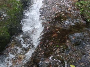 Rancho entre nubes y montañas en Cuetzalan Puebla