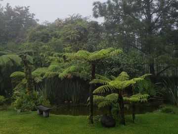 Rancho entre nubes y montañas en Cuetzalan Puebla