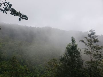 Rancho entre nubes y montañas en Cuetzalan Puebla