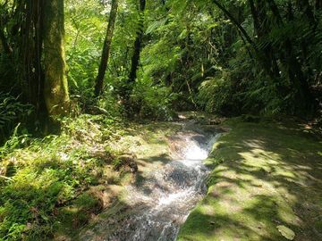 Rancho entre nubes y montañas en Cuetzalan Puebla