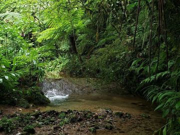 Rancho entre nubes y montañas en Cuetzalan Puebla
