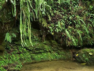 Rancho entre nubes y montañas en Cuetzalan Puebla