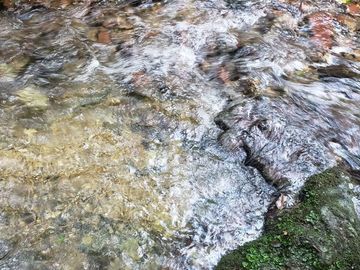 Rancho entre nubes y montañas en Cuetzalan Puebla