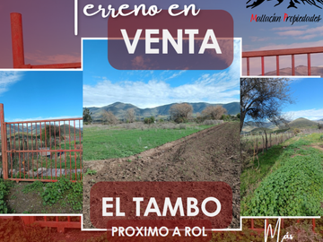 Terreno El Tambo - S