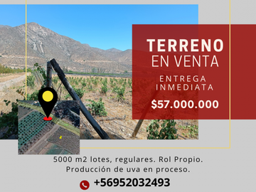 Se vende Terrenos en Jorquera/Santa Rosa