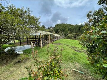 VENTA DE FINCA EN GUARNE