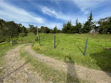 VENTA DE FINCA EN GUARNE
