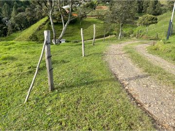 VENTA DE FINCA EN GUARNE