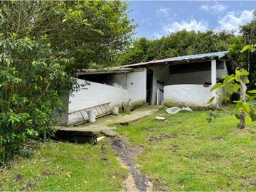 VENTA DE FINCA EN GUARNE