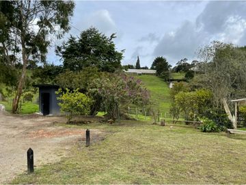VENTA DE FINCA EN GUARNE