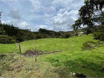 VENTA DE FINCA EN GUARNE