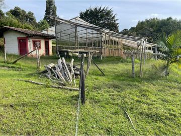 VENTA DE FINCA EN GUARNE