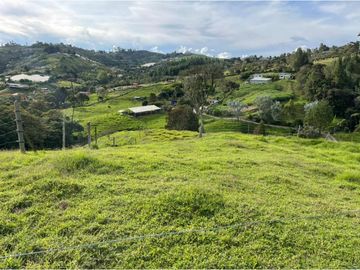 VENTA DE FINCA EN GUARNE