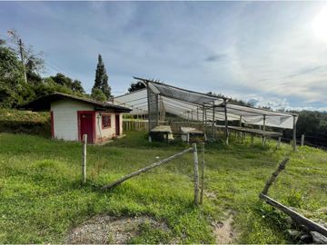VENTA DE FINCA EN GUARNE