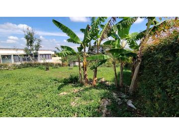 VENTA DE LOTES CAMPESTRES EN LA VIA MORELIA, ALCALA, SECTOR LA SELVA.