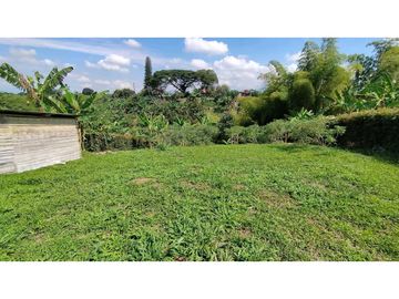 VENTA DE LOTES CAMPESTRES EN LA VIA MORELIA, ALCALA, SECTOR LA SELVA.