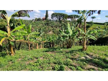 VENTA DE LOTES CAMPESTRES EN LA VIA MORELIA, ALCALA, SECTOR LA SELVA.