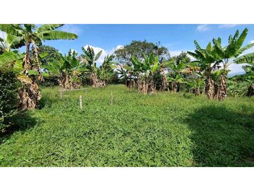 VENTA DE LOTES CAMPESTRES EN LA VIA MORELIA, ALCALA, SECTOR LA SELVA.