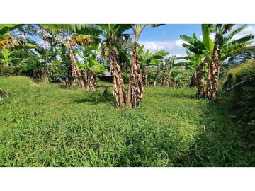 VENTA DE LOTES CAMPESTRES EN LA VIA MORELIA, ALCALA, SECTOR LA SELVA.