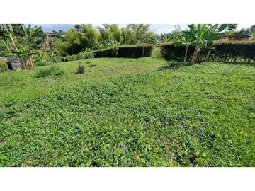 VENTA DE LOTES CAMPESTRES EN LA VIA MORELIA, ALCALA, SECTOR LA SELVA.
