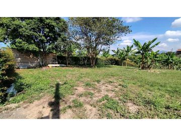 VENTA DE LOTES CAMPESTRES EN LA VIA MORELIA, ALCALA, SECTOR LA SELVA.