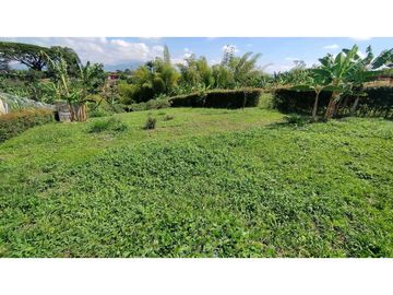 VENTA DE LOTES CAMPESTRES EN LA VIA MORELIA, ALCALA, SECTOR LA SELVA.