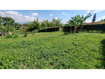 VENTA DE LOTES CAMPESTRES EN LA VIA MORELIA, ALCALA, SECTOR LA SELVA.