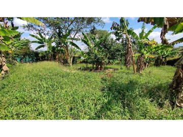 VENTA DE LOTES CAMPESTRES EN LA VIA MORELIA, ALCALA, SECTOR LA SELVA.