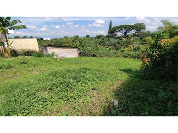 VENTA DE LOTES CAMPESTRES EN LA VIA MORELIA, ALCALA, SECTOR LA SELVA.