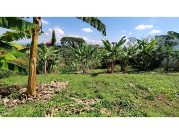 VENTA DE LOTES CAMPESTRES EN LA VIA MORELIA, ALCALA, SECTOR LA SELVA.